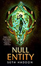 Null Entity